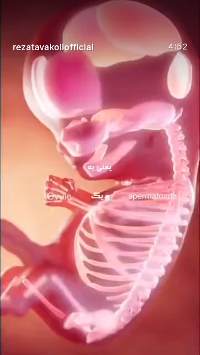  جدید ترین استوری اینستاگرام رضا توکلی