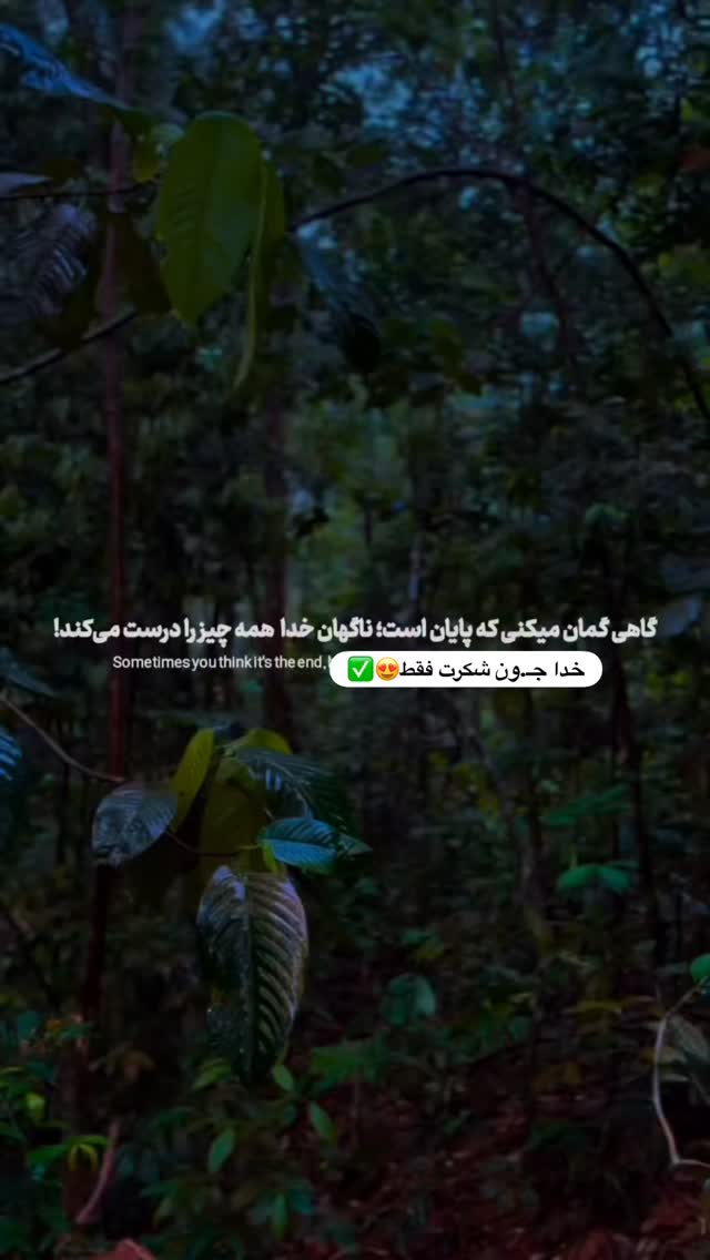  جدید ترین استوری اینستاگرام رضا توانا
