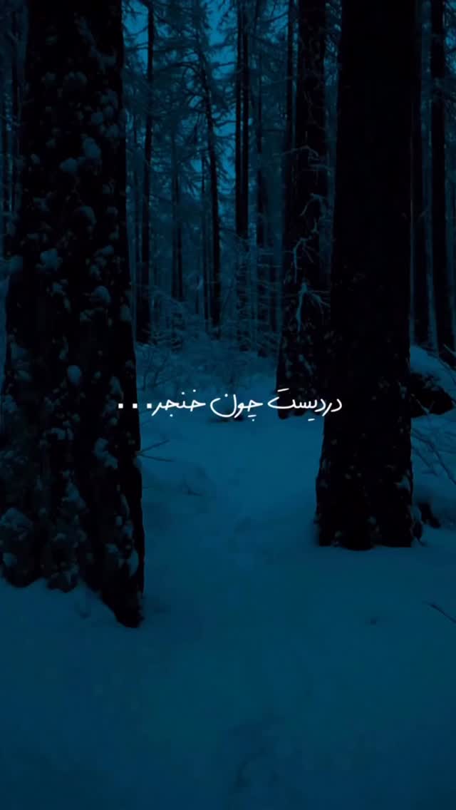  جدید ترین استوری اینستاگرام رضا یزدانی
