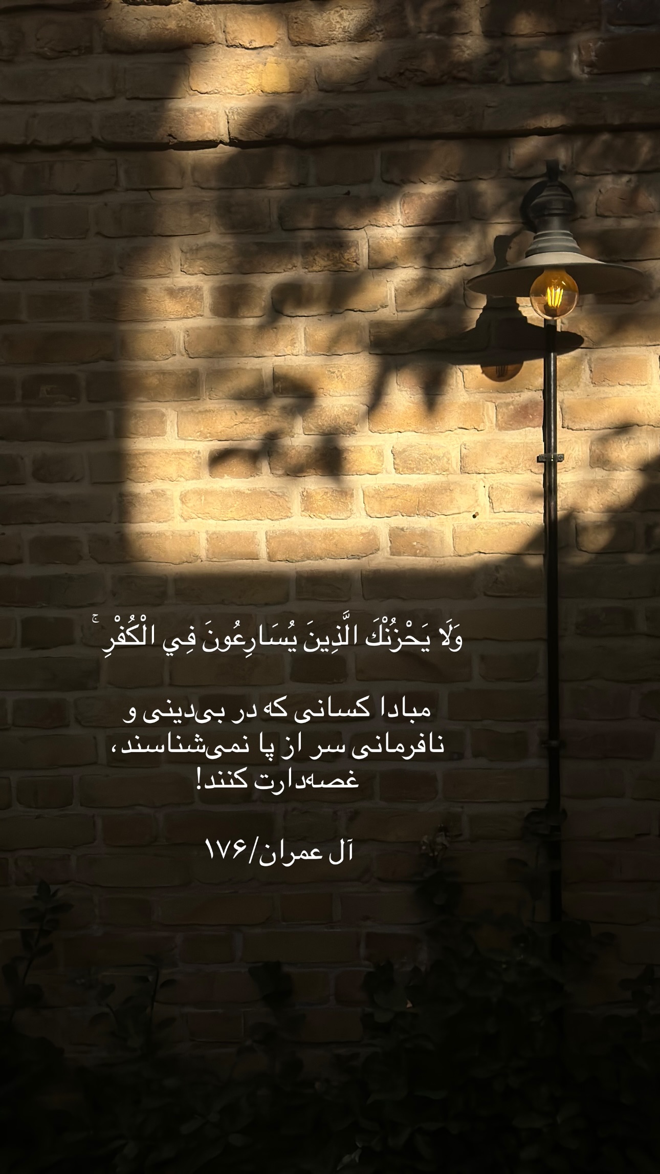  جدید ترین استوری اینستاگرام فتانه