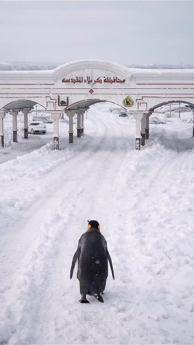  جدید ترین استوری اینستاگرام فتانه