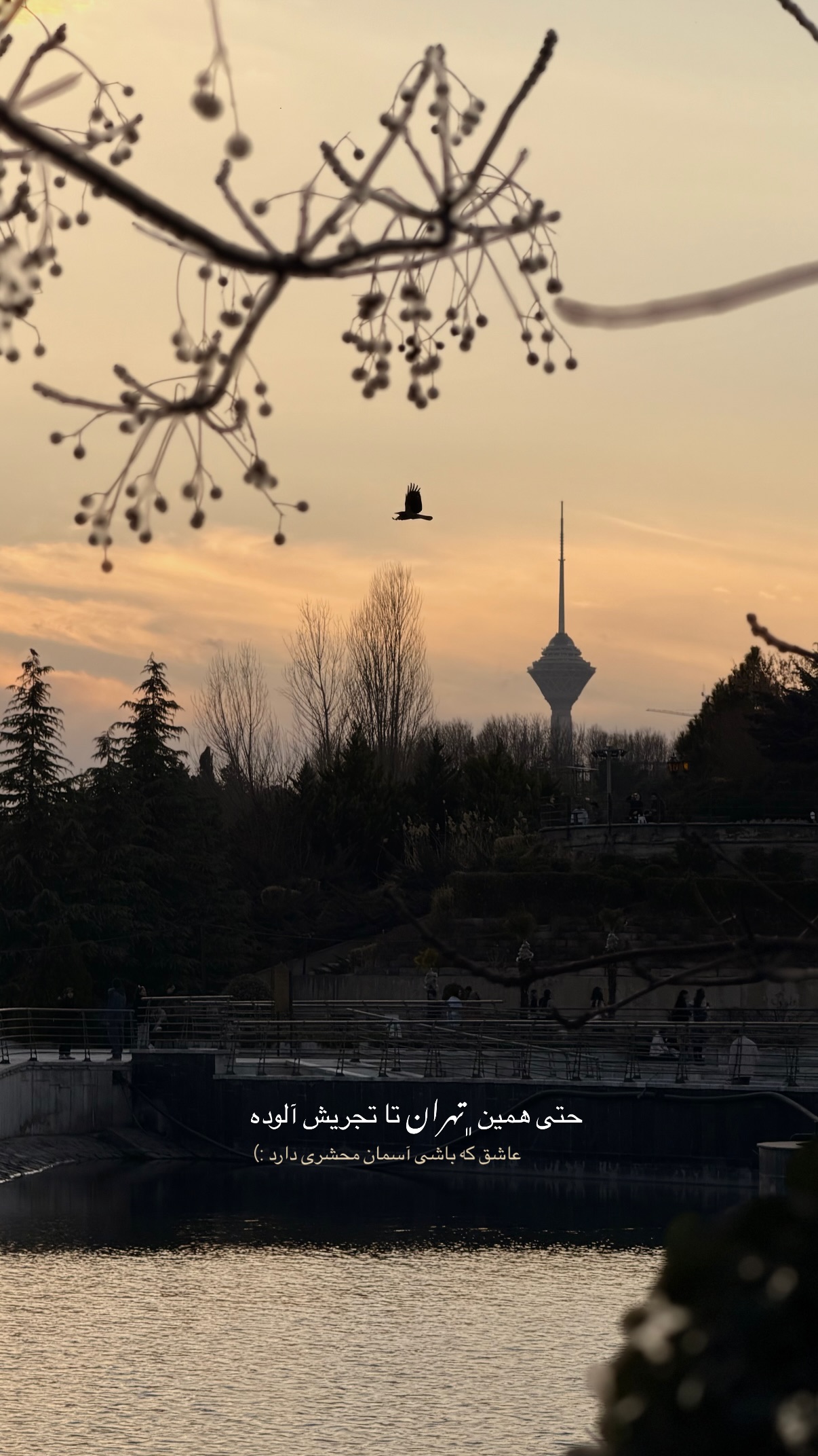  جدید ترین استوری اینستاگرام فتانه