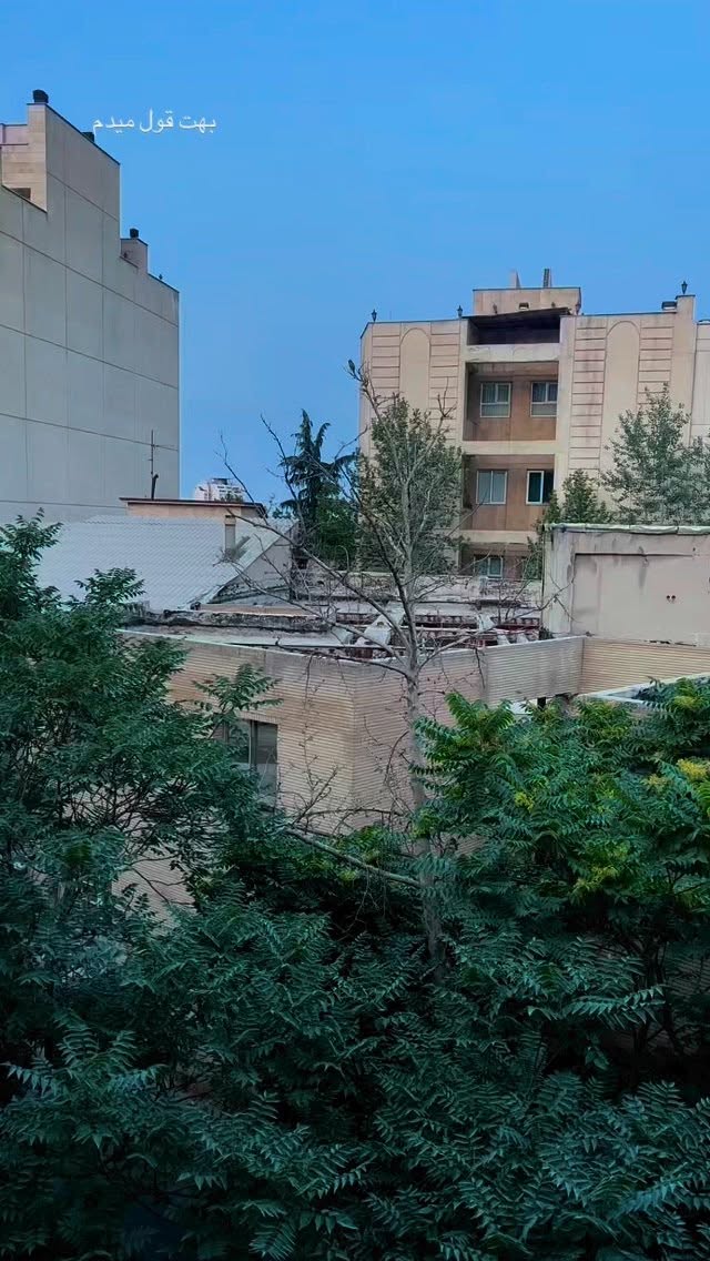  جدید ترین استوری اینستاگرام ریحانه نجاد