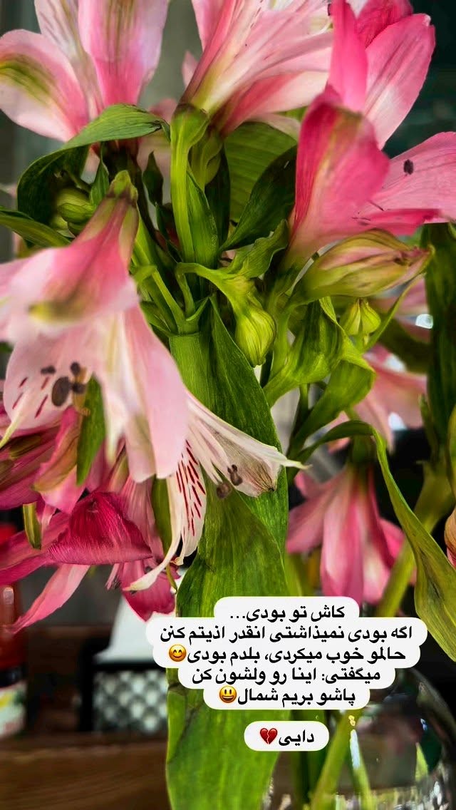  جدید ترین استوری اینستاگرام ریحانه نجاد
