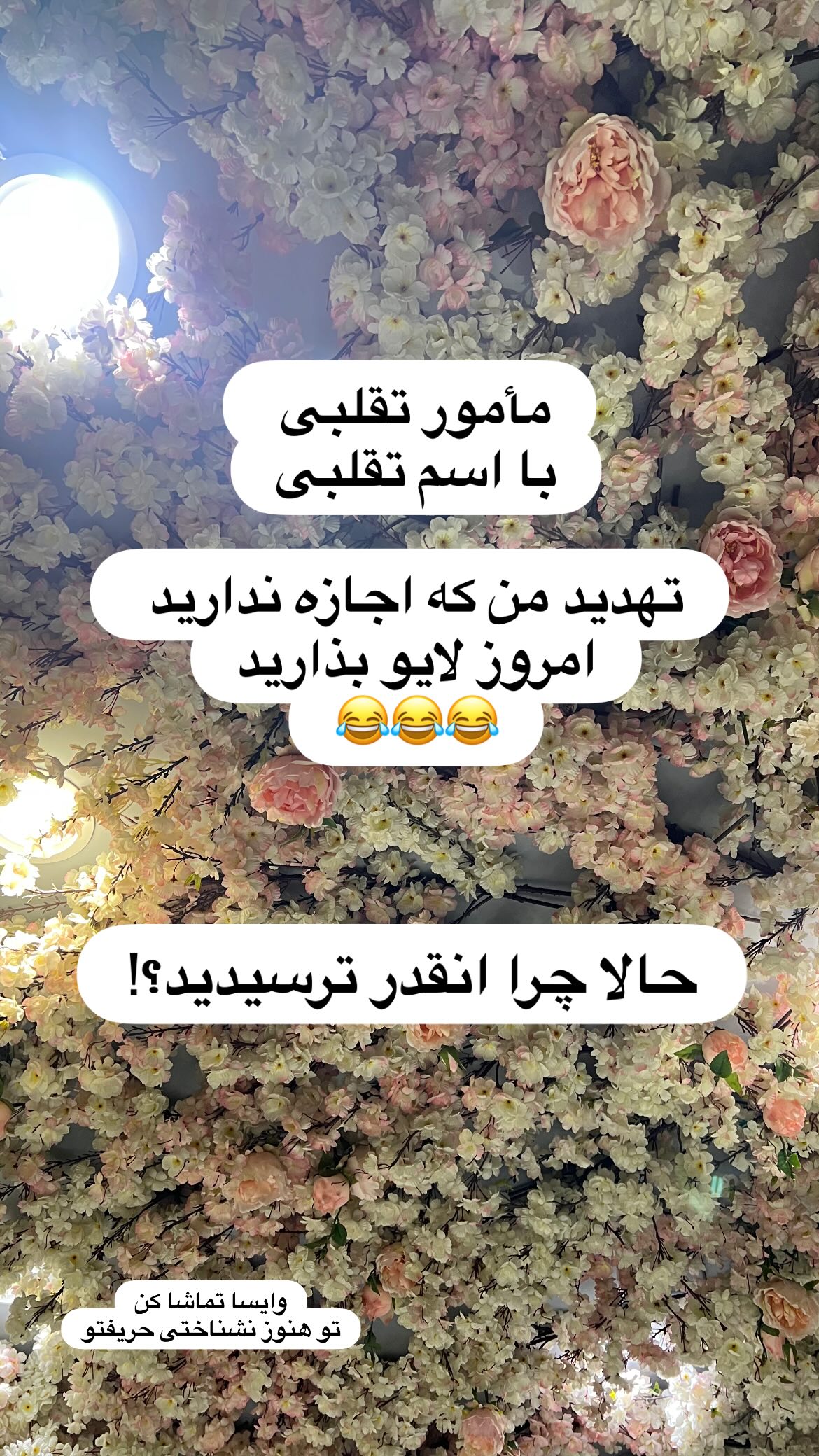  جدید ترین استوری اینستاگرام ریحانه نجاد