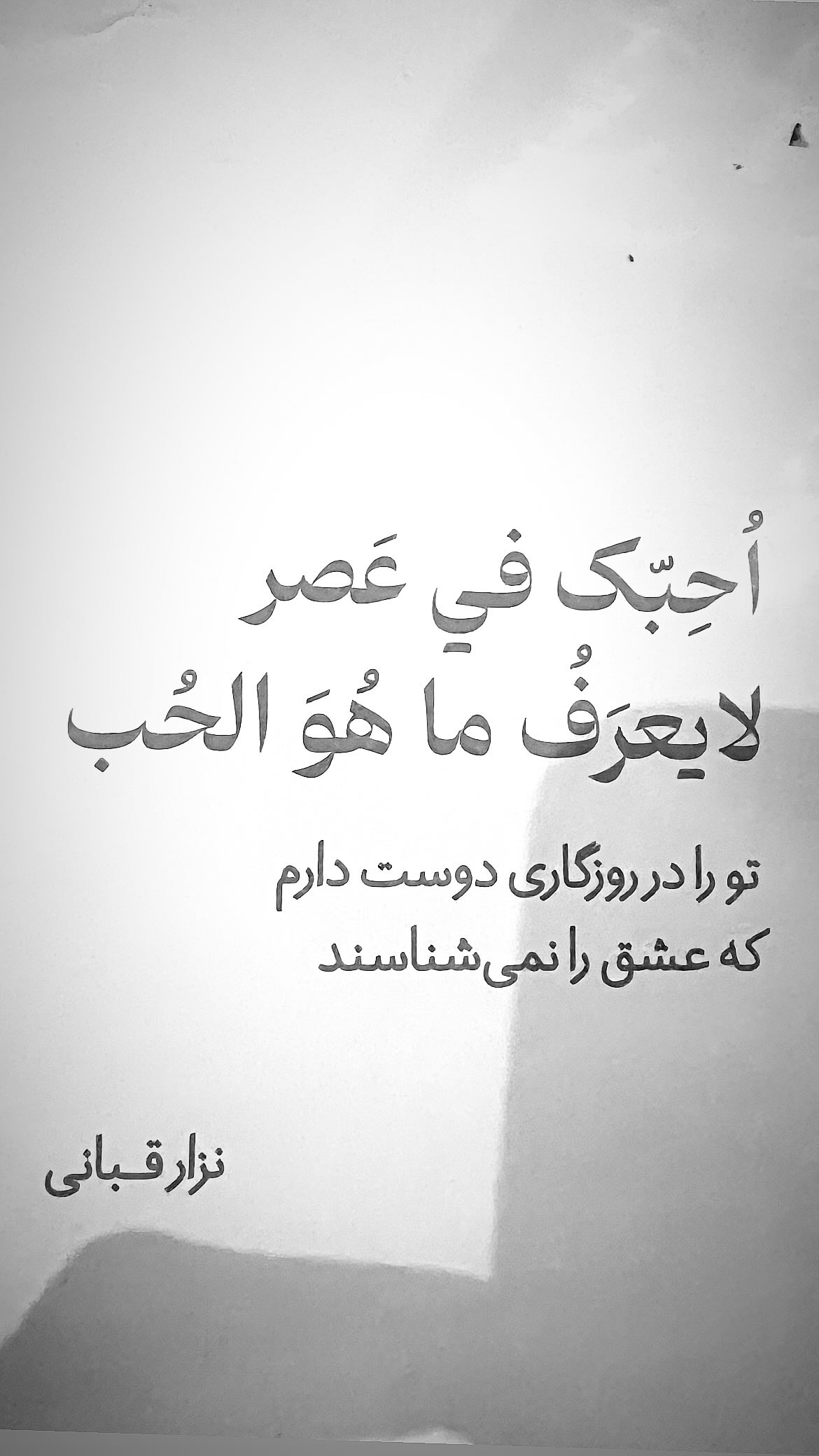  جدید ترین استوری اینستاگرام ریحانه نجاد