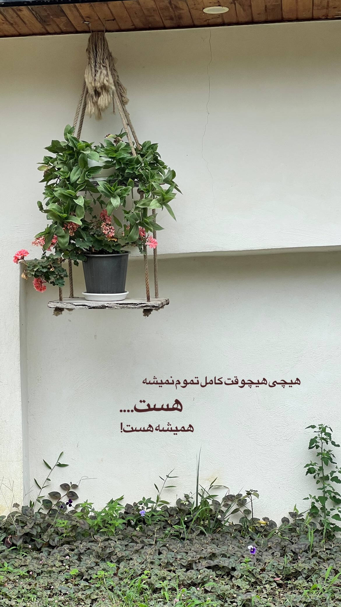 جدید ترین استوری اینستاگرام ریحانه نجاد
