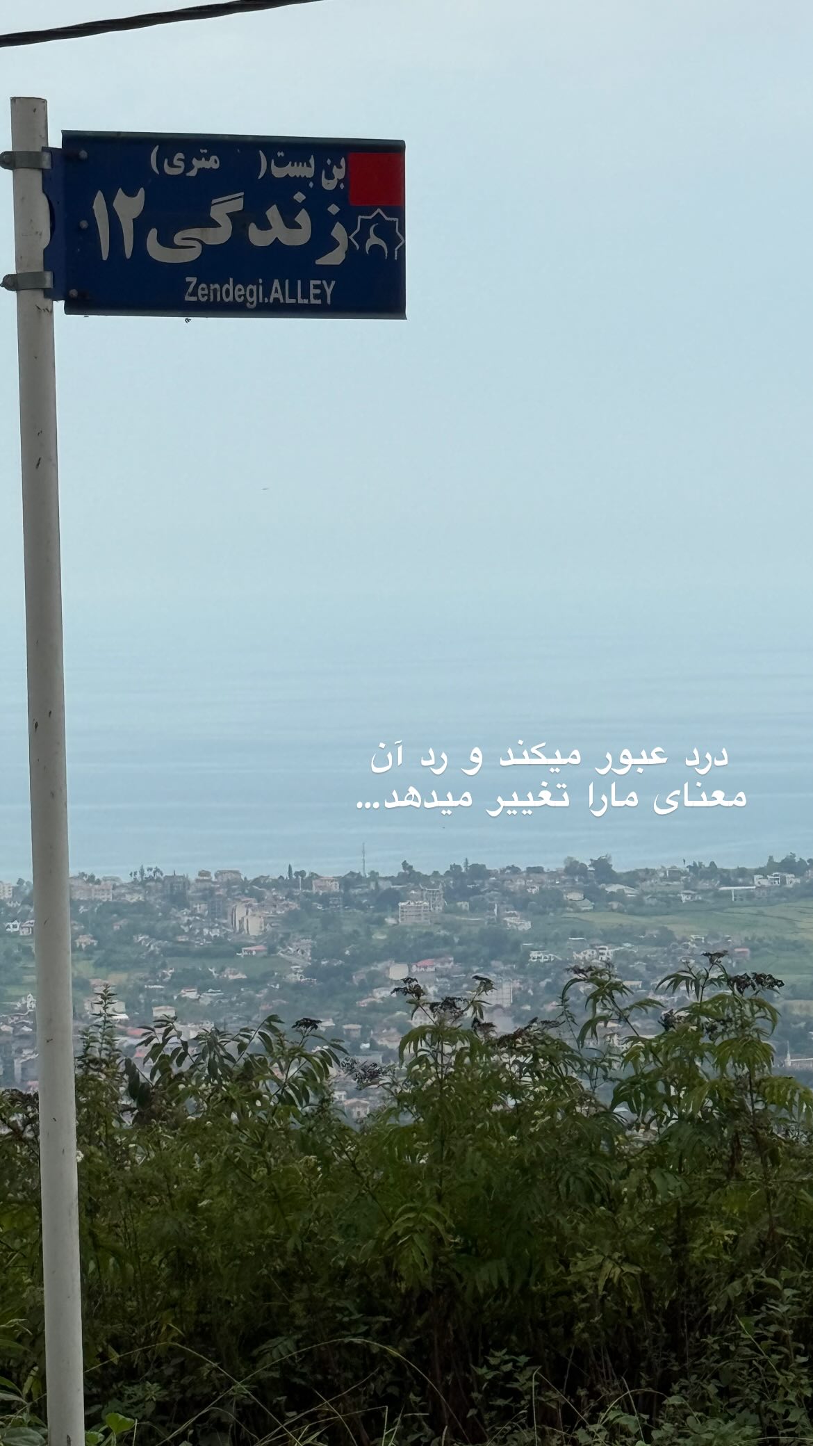  جدید ترین استوری اینستاگرام ریحانه نجاد