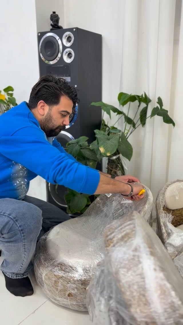  جدید ترین استوری اینستاگرام نرگس چشمی