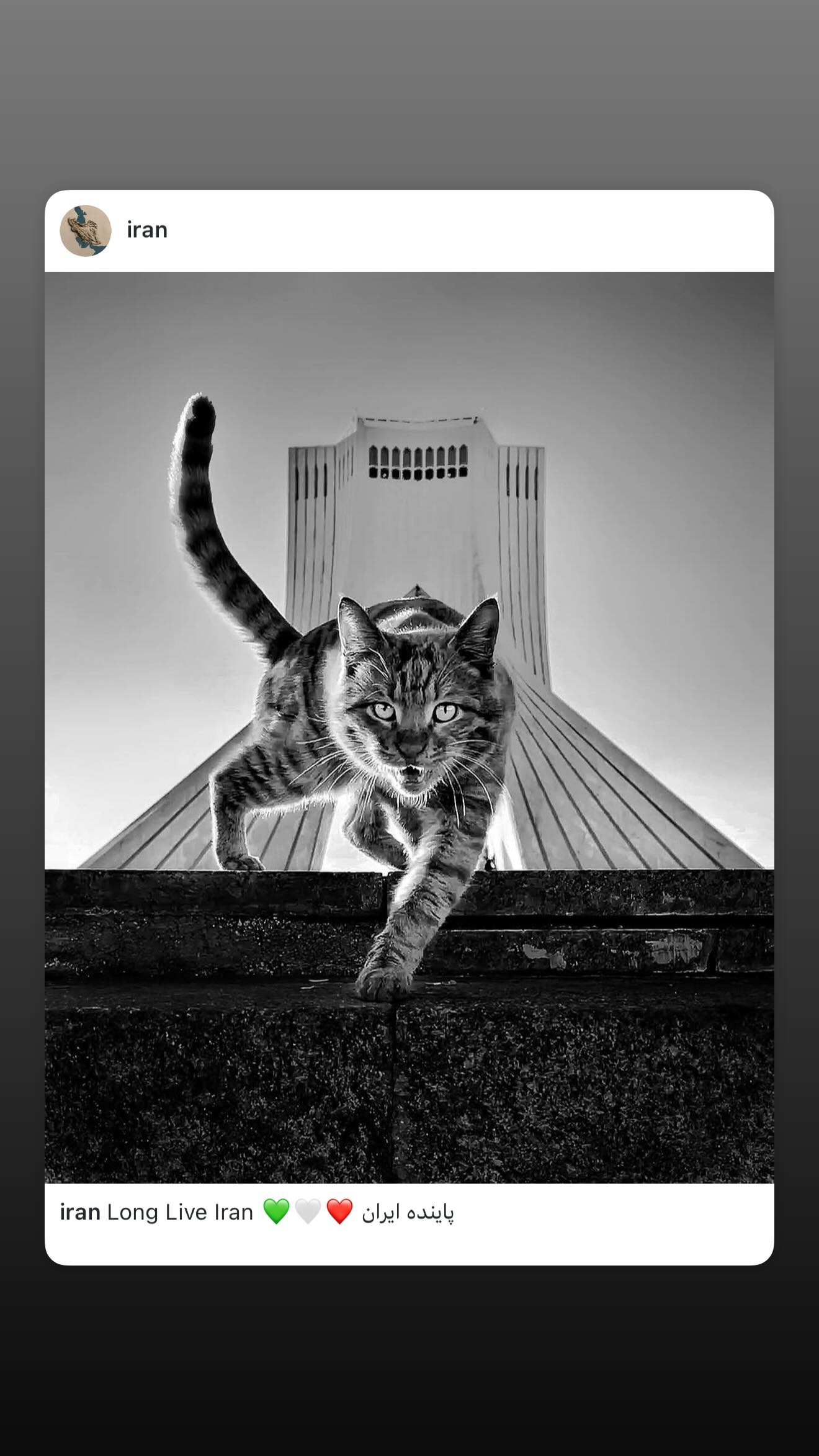  جدید ترین استوری اینستاگرام روزبه چشمی