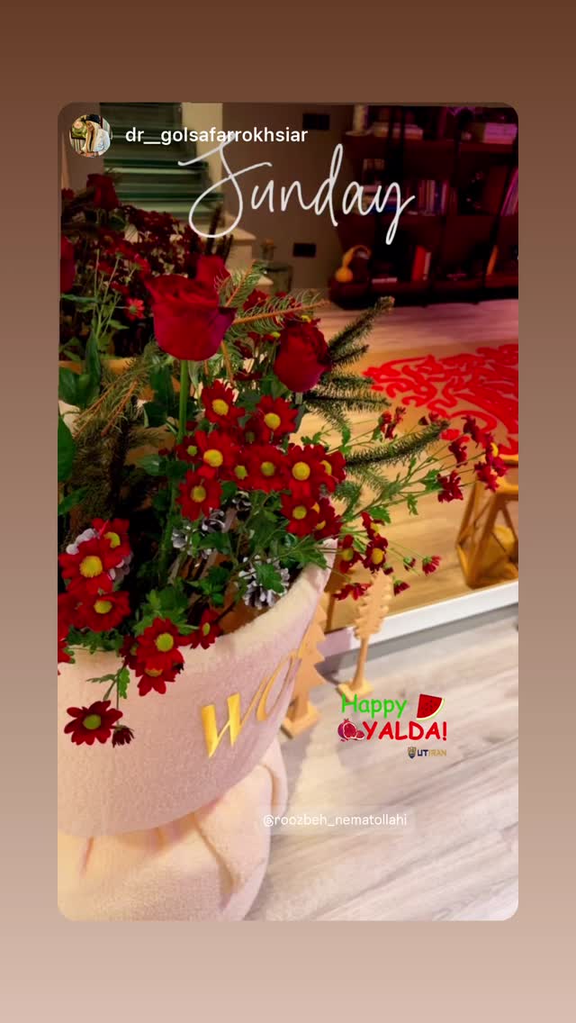  جدید ترین استوری اینستاگرام روزبه نعمت الهی
