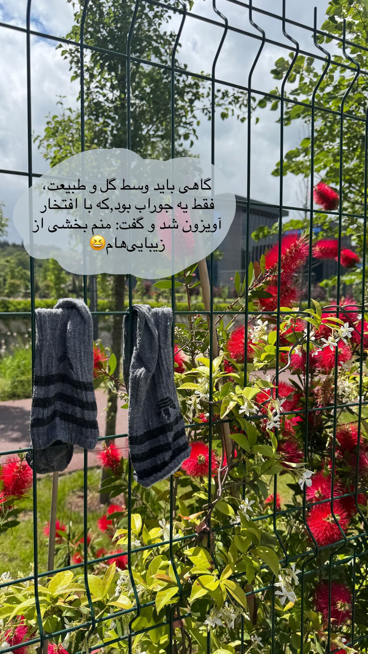  جدید ترین استوری اینستاگرام رز صمدی