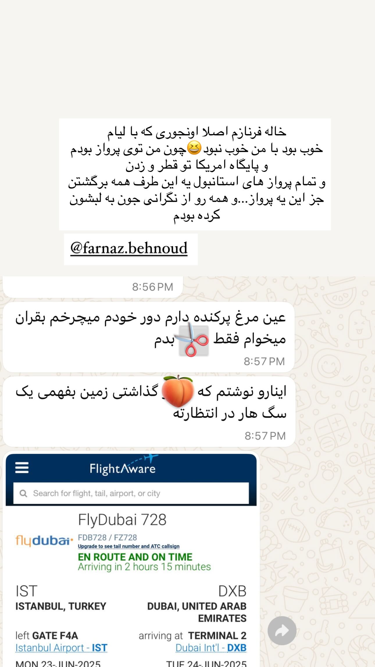  جدید ترین استوری اینستاگرام رز صمدی