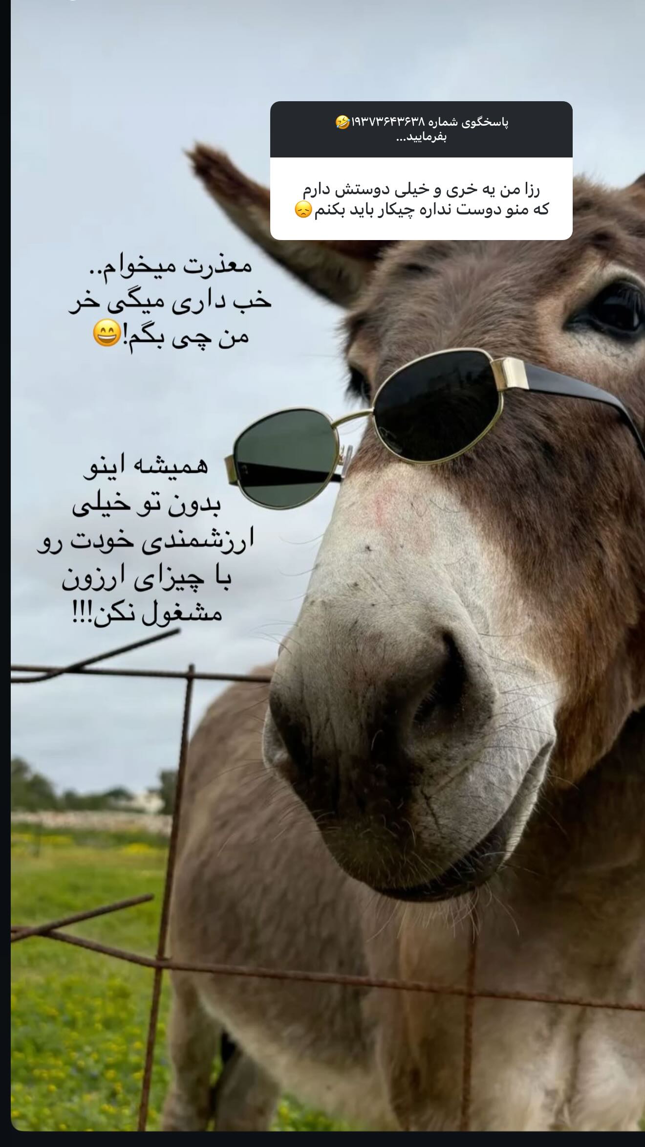  جدید ترین استوری اینستاگرام رز صمدی