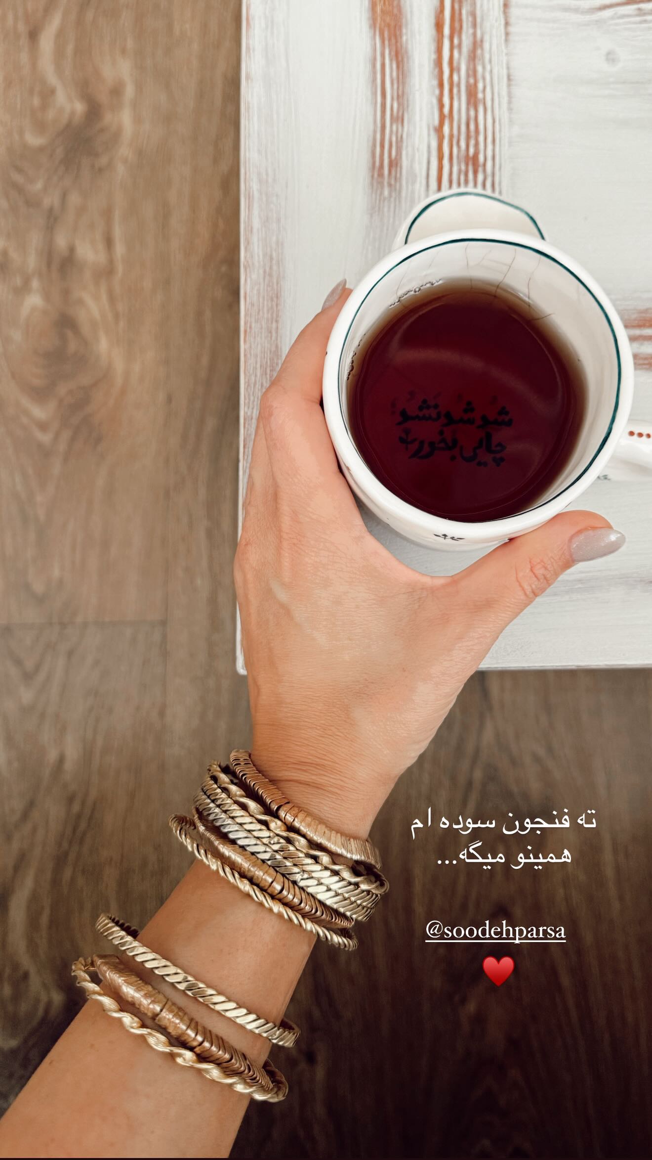  جدید ترین استوری اینستاگرام رز صمدی