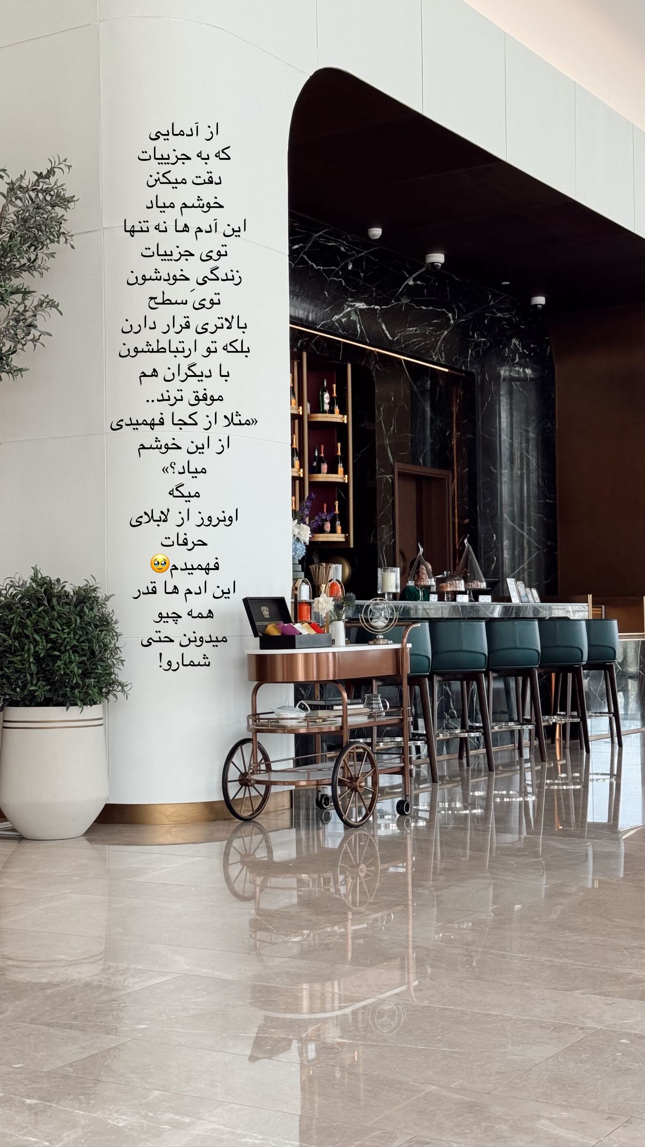 جدید ترین استوری اینستاگرام رز صمدی