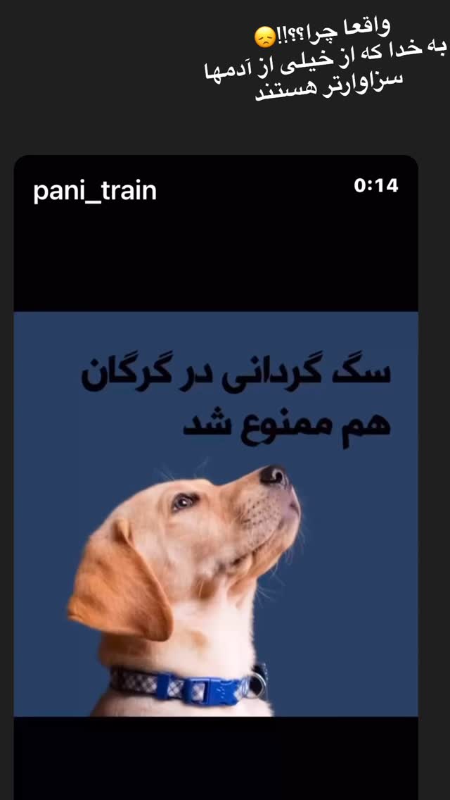  جدید ترین استوری اینستاگرام روشنک عجمیان