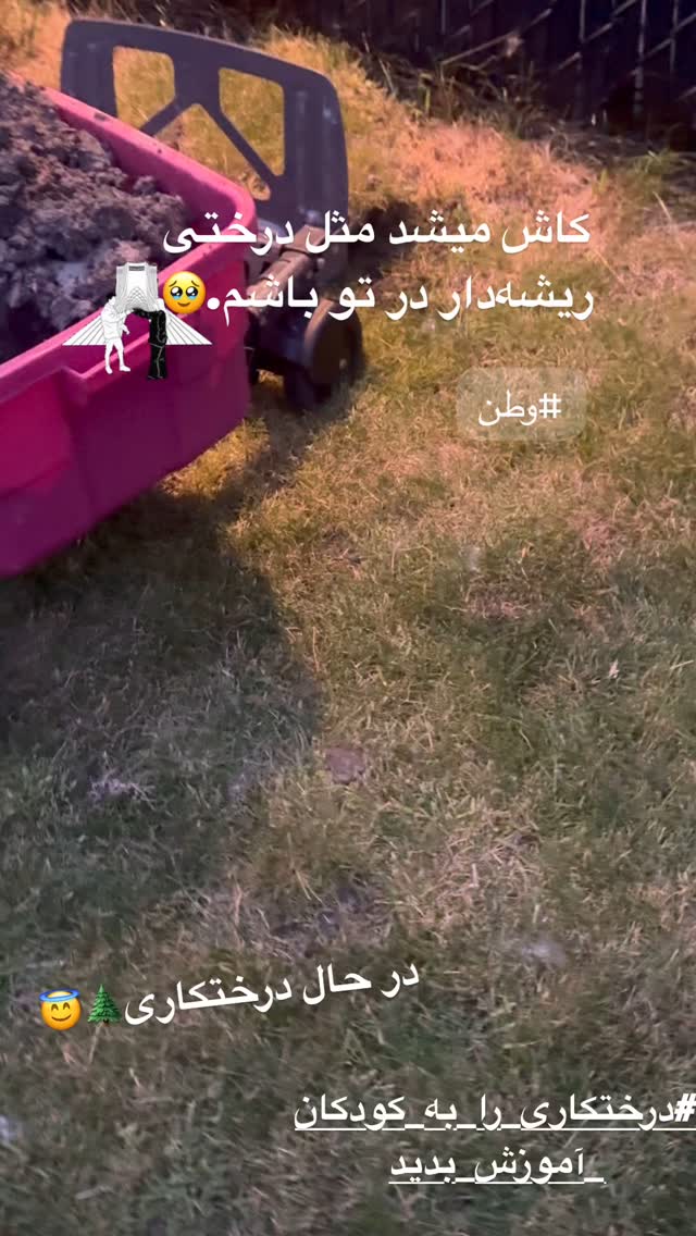  جدید ترین استوری اینستاگرام روشنک عجمیان