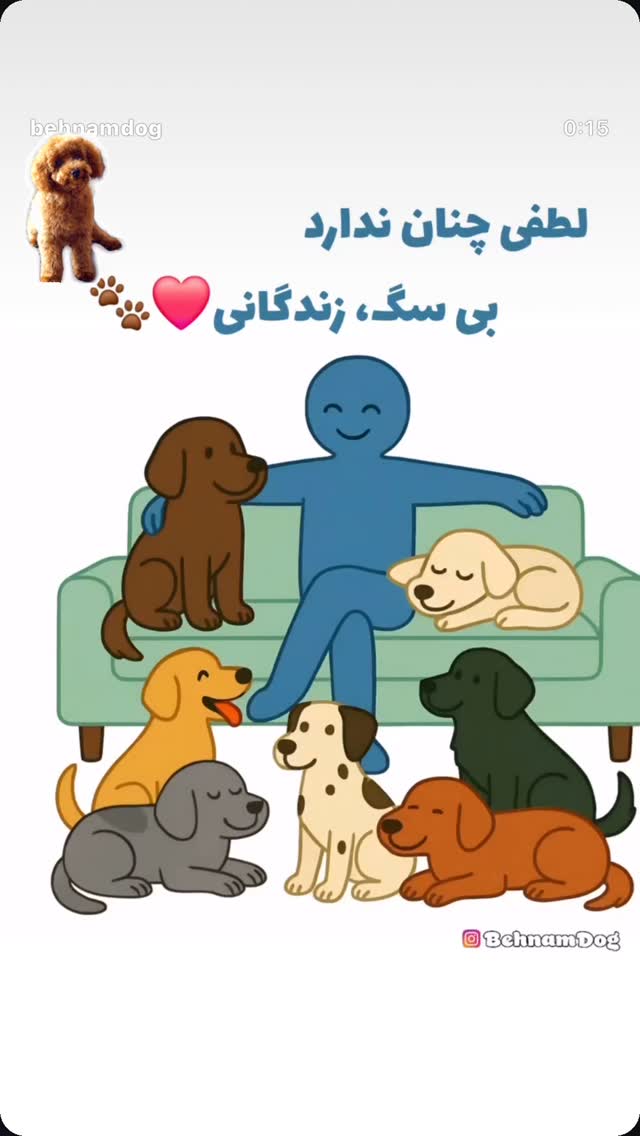  جدید ترین استوری اینستاگرام روشنک عجمیان