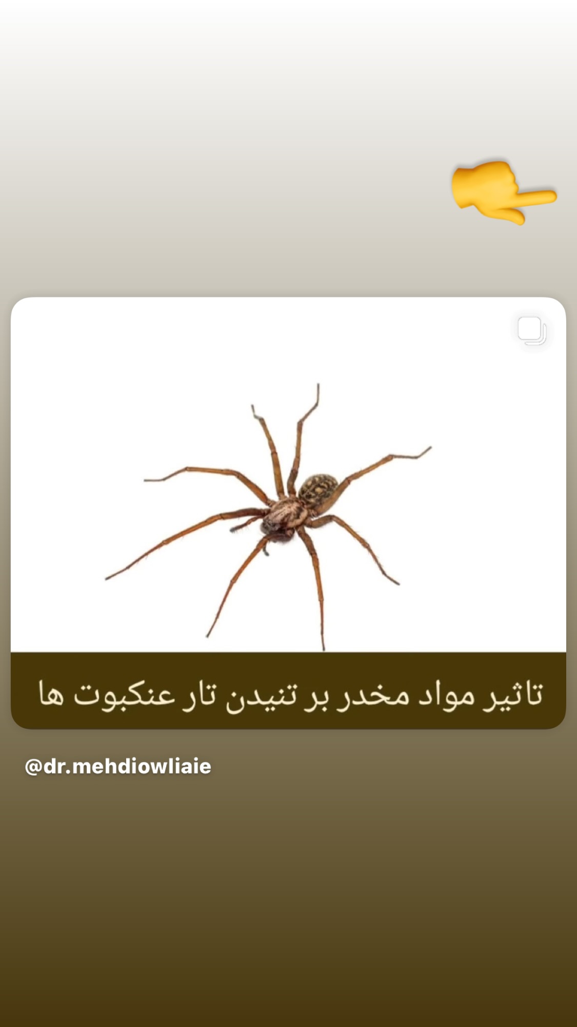  جدید ترین استوری اینستاگرام روشنک عجمیان