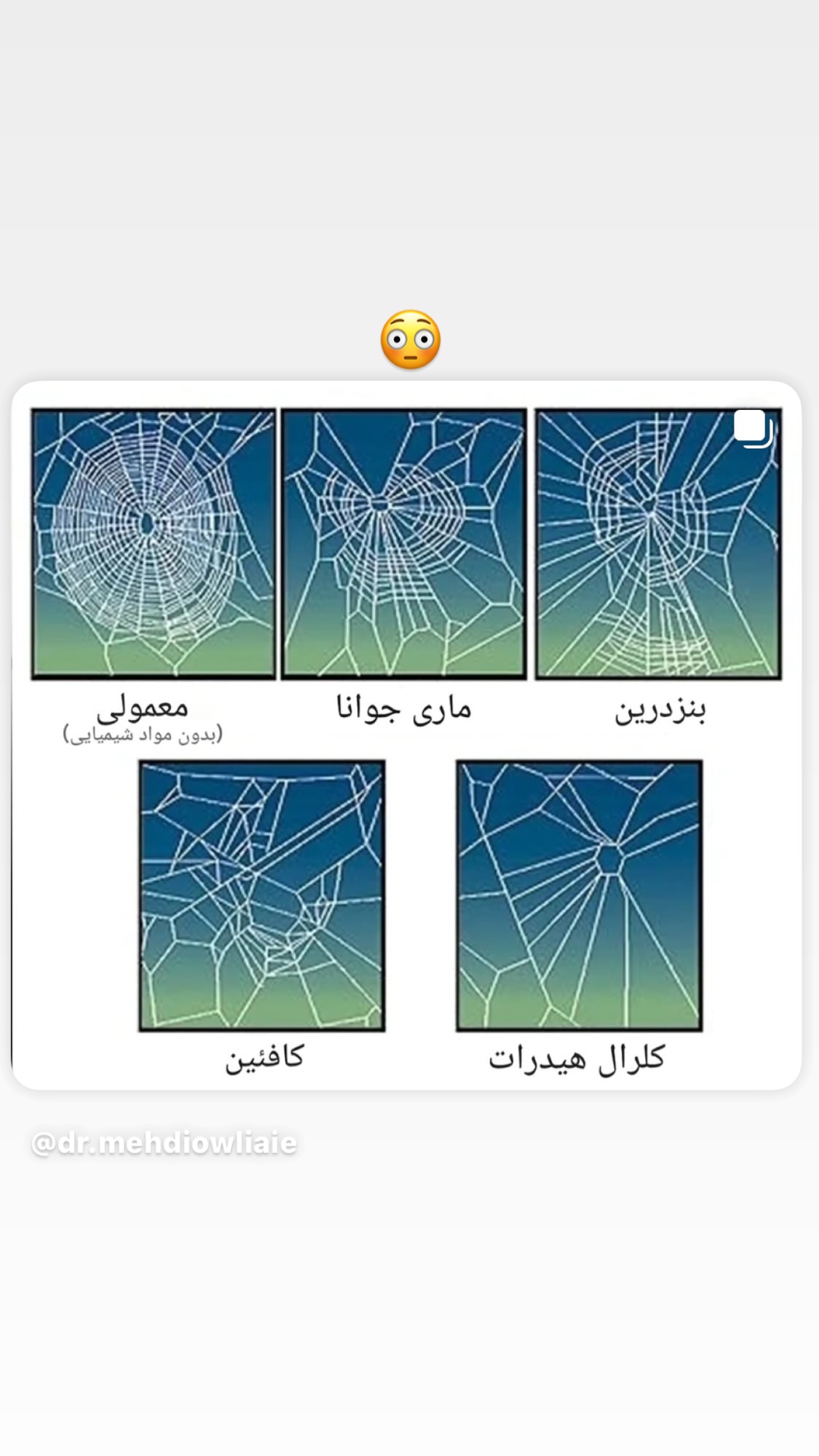  جدید ترین استوری اینستاگرام روشنک عجمیان