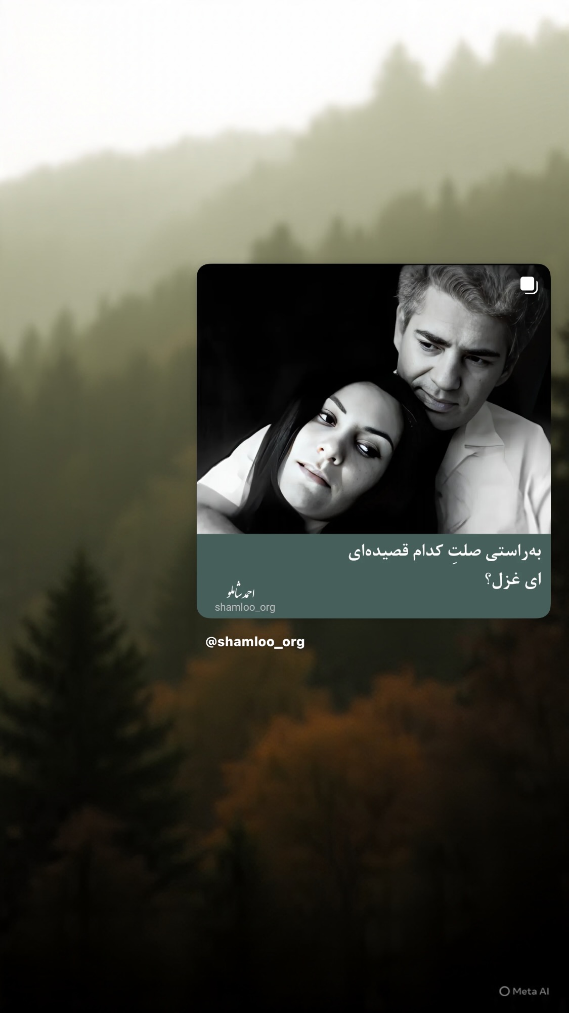  جدید ترین استوری اینستاگرام روشنک عجمیان
