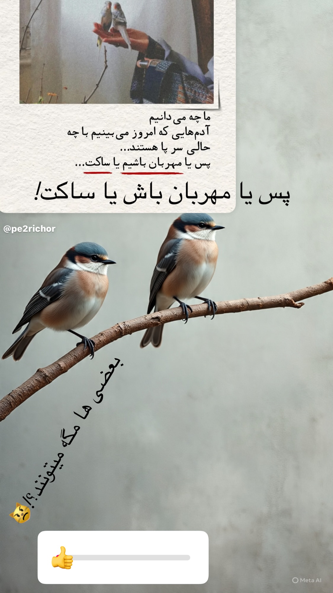  جدید ترین استوری اینستاگرام روشنک عجمیان