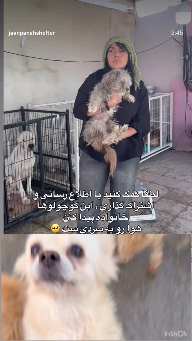  جدید ترین استوری اینستاگرام روشنک عجمیان