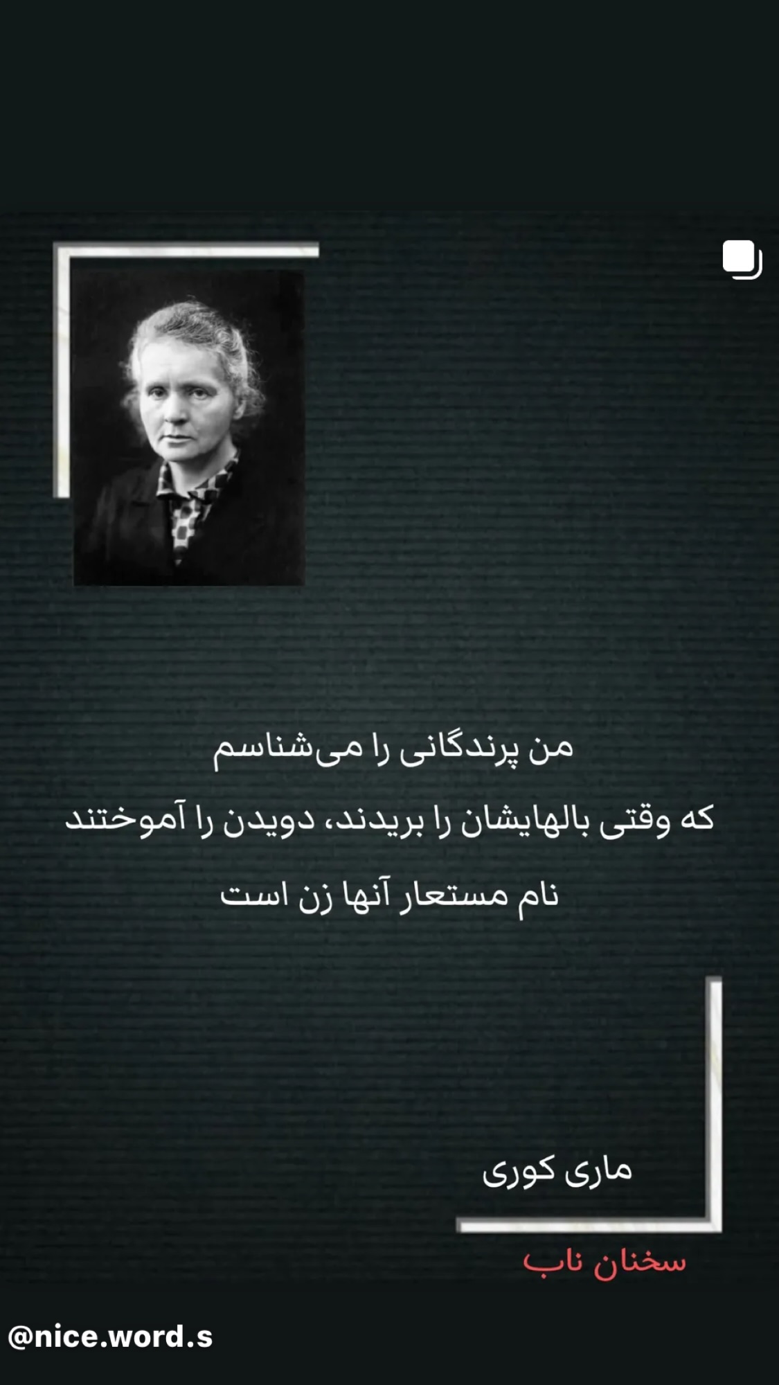  جدید ترین استوری اینستاگرام روشنک عجمیان
