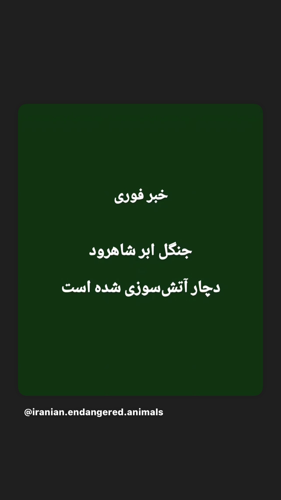  جدید ترین استوری اینستاگرام روشنک عجمیان