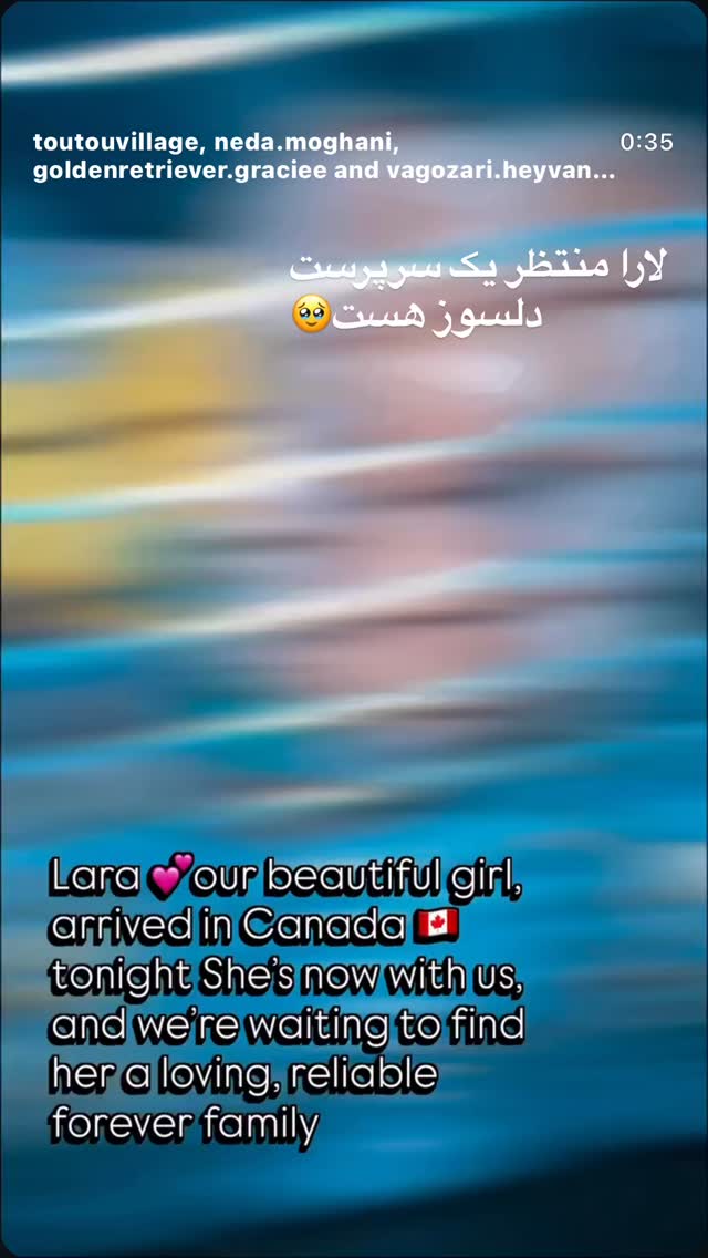  جدید ترین استوری اینستاگرام روشنک عجمیان