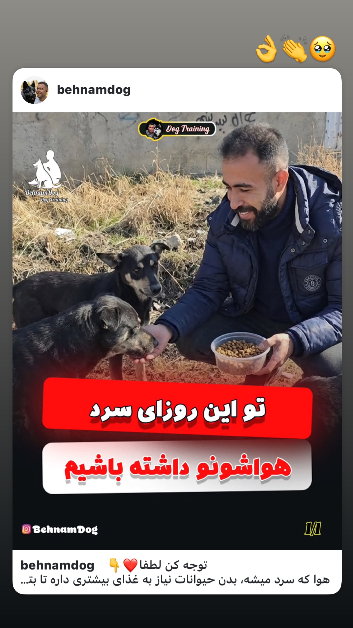  جدید ترین استوری اینستاگرام روشنک عجمیان
