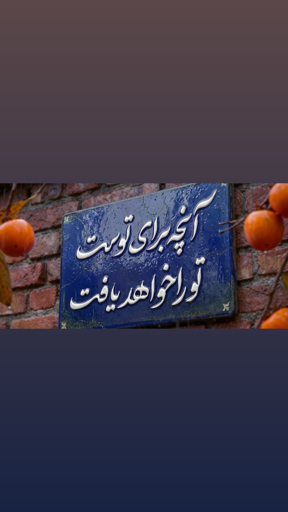  جدید ترین استوری اینستاگرام روشنک عجمیان