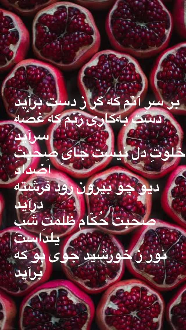  جدید ترین استوری اینستاگرام روشنک عجمیان