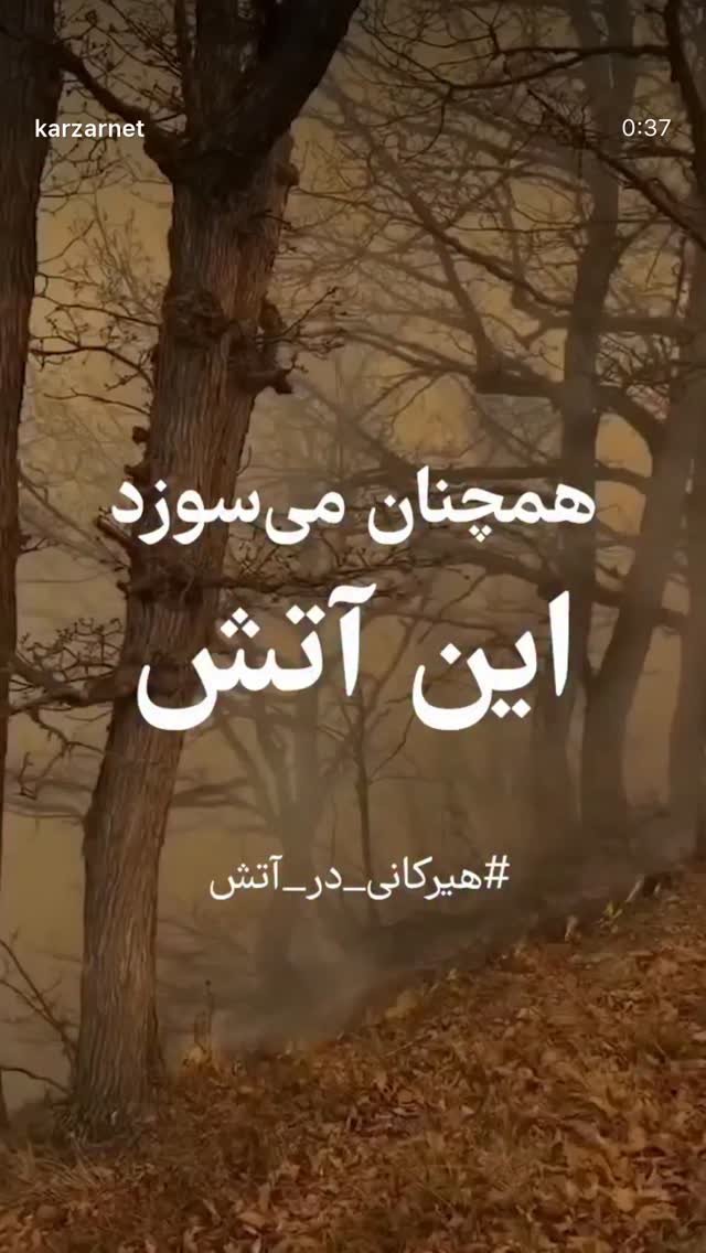  جدید ترین استوری اینستاگرام رویا نونهالی