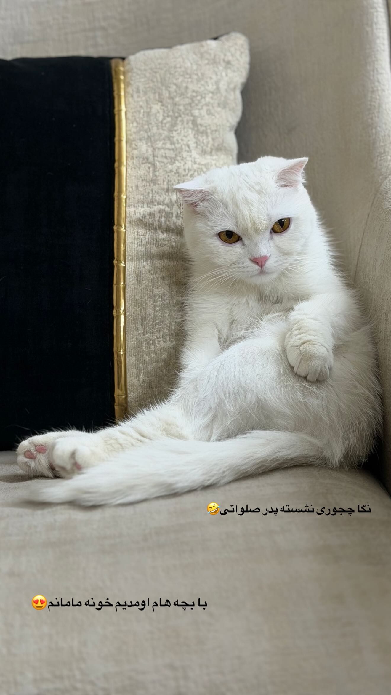  جدید ترین استوری اینستاگرام رویا و امیر حسام