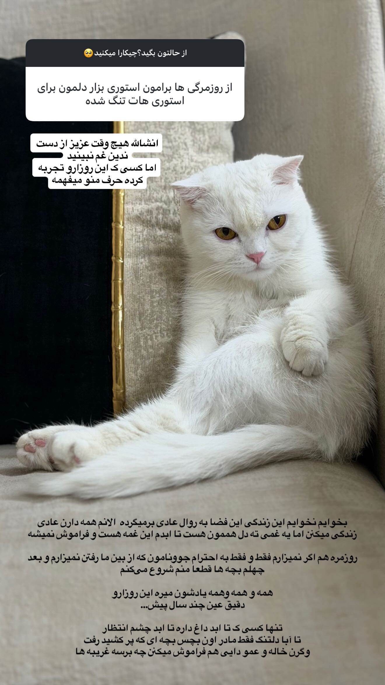  جدید ترین استوری اینستاگرام رویا و امیر حسام