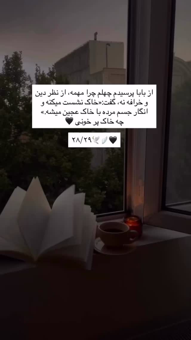  جدید ترین استوری اینستاگرام رویا و امیر حسام