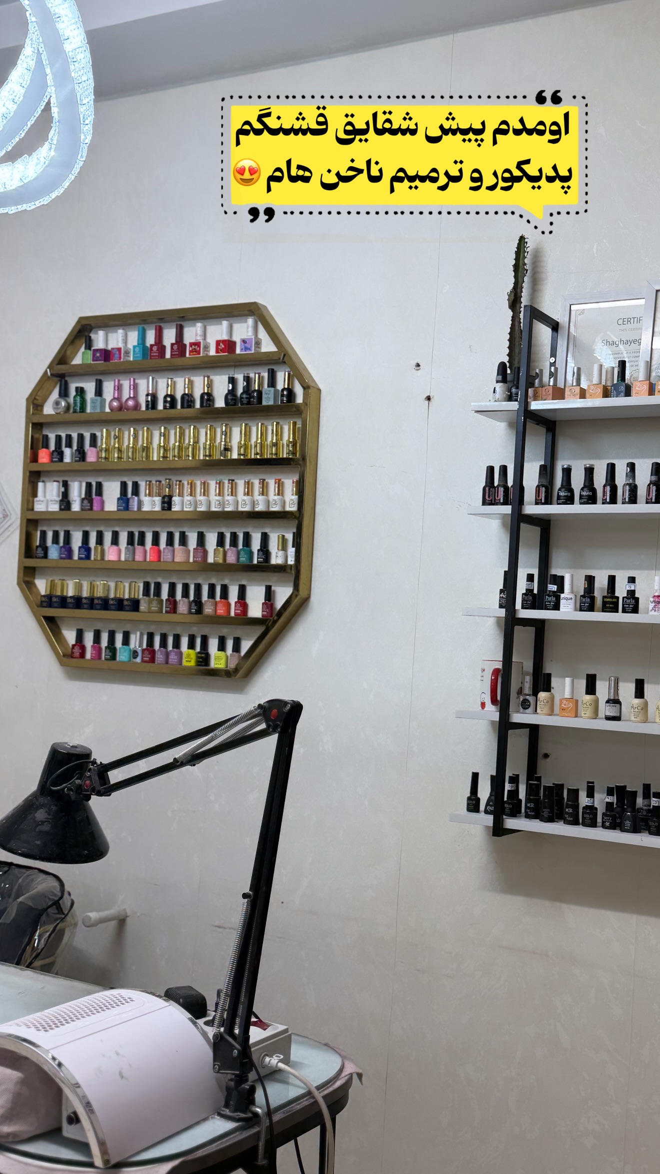  جدید ترین استوری اینستاگرام رویا