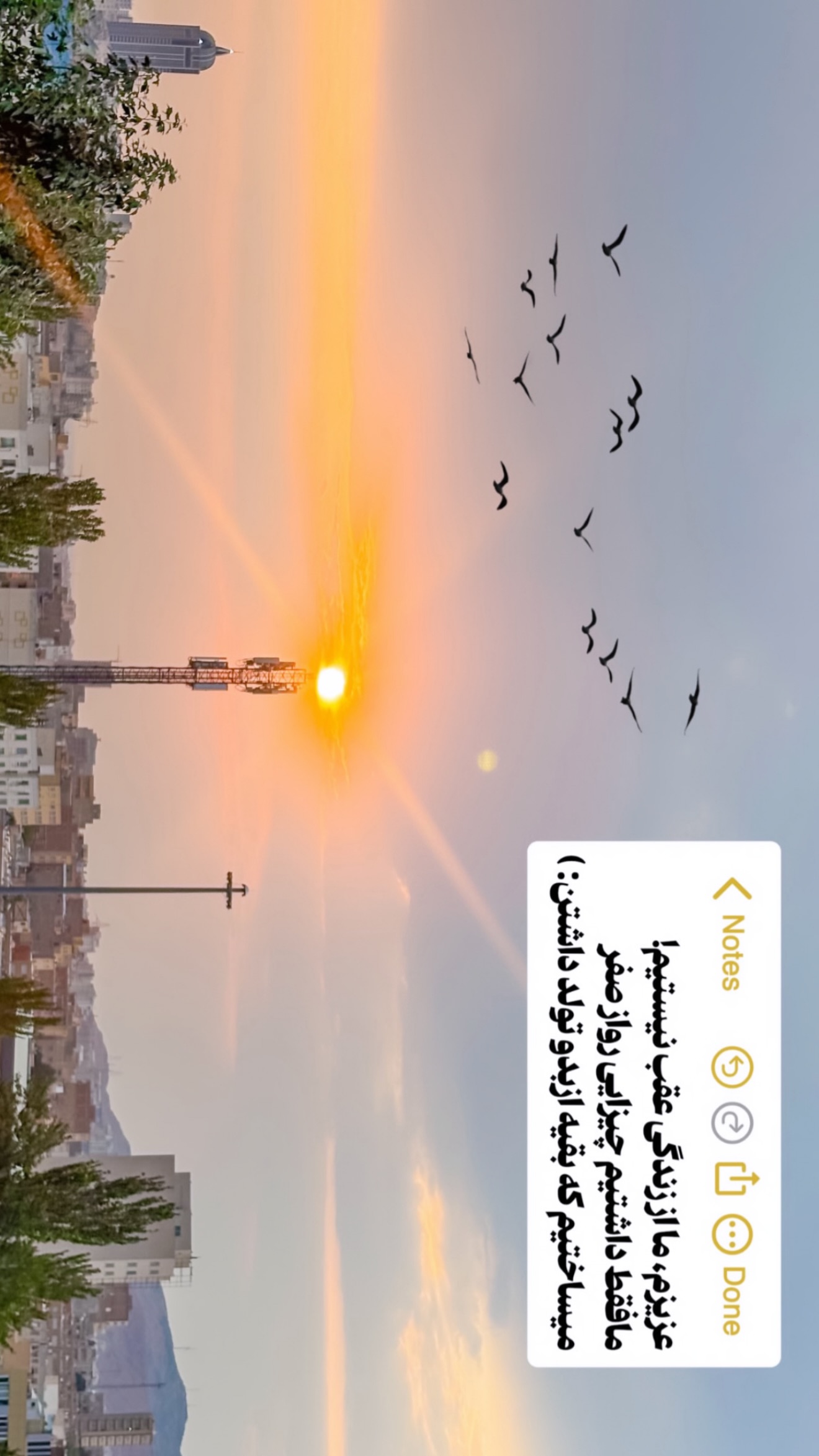  جدید ترین استوری اینستاگرام رویا