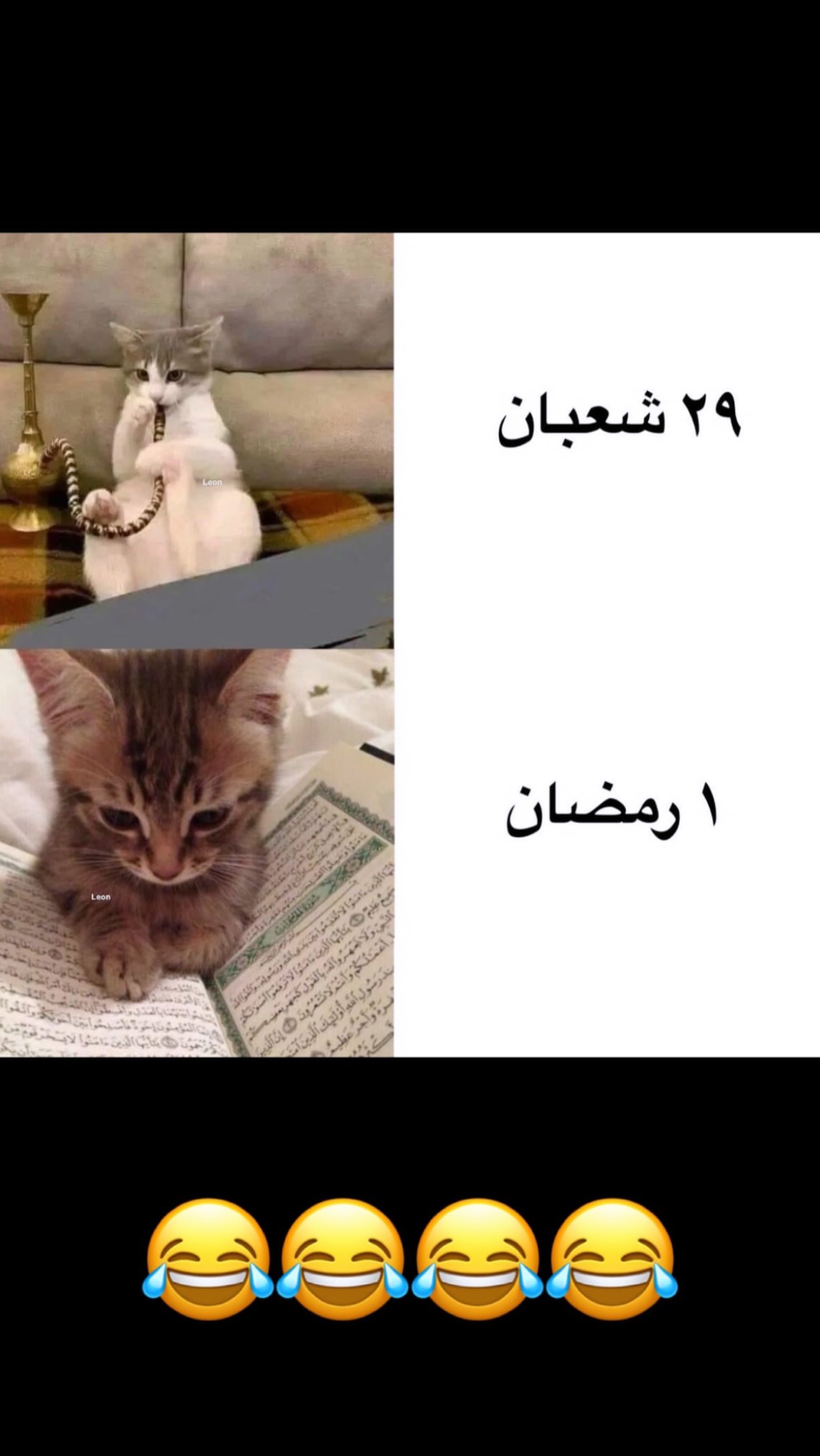  جدید ترین استوری اینستاگرام رویا