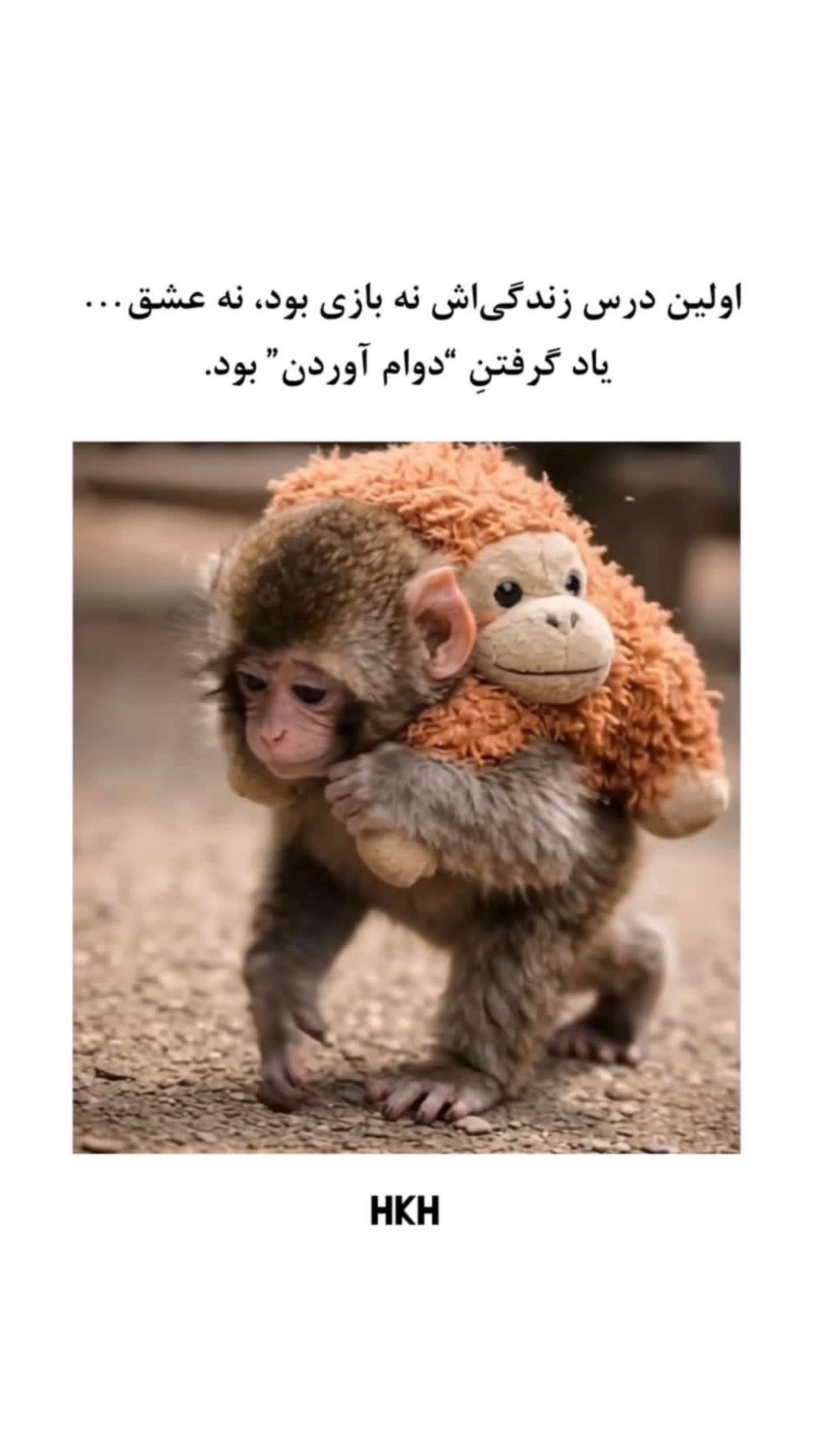  جدید ترین استوری اینستاگرام رویا