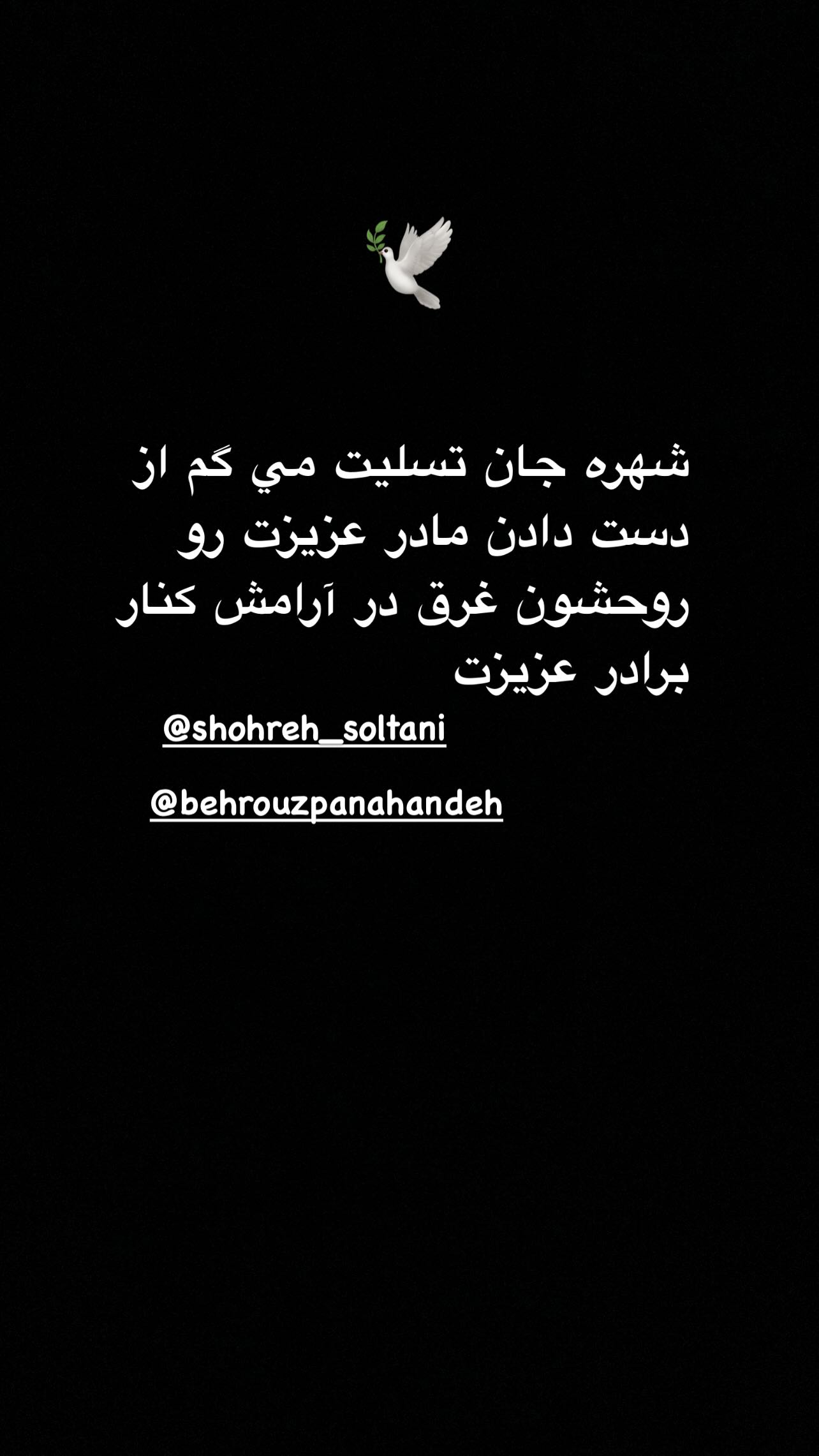  جدید ترین استوری اینستاگرام رویا میر علمی