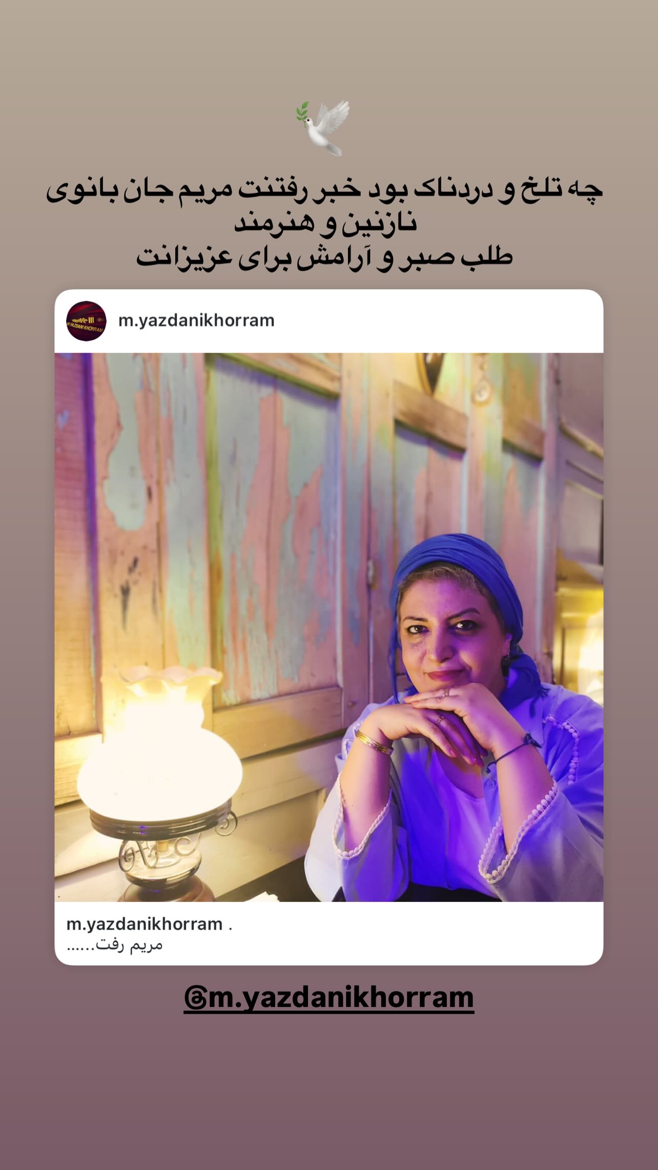  جدید ترین استوری اینستاگرام رویا میر علمی