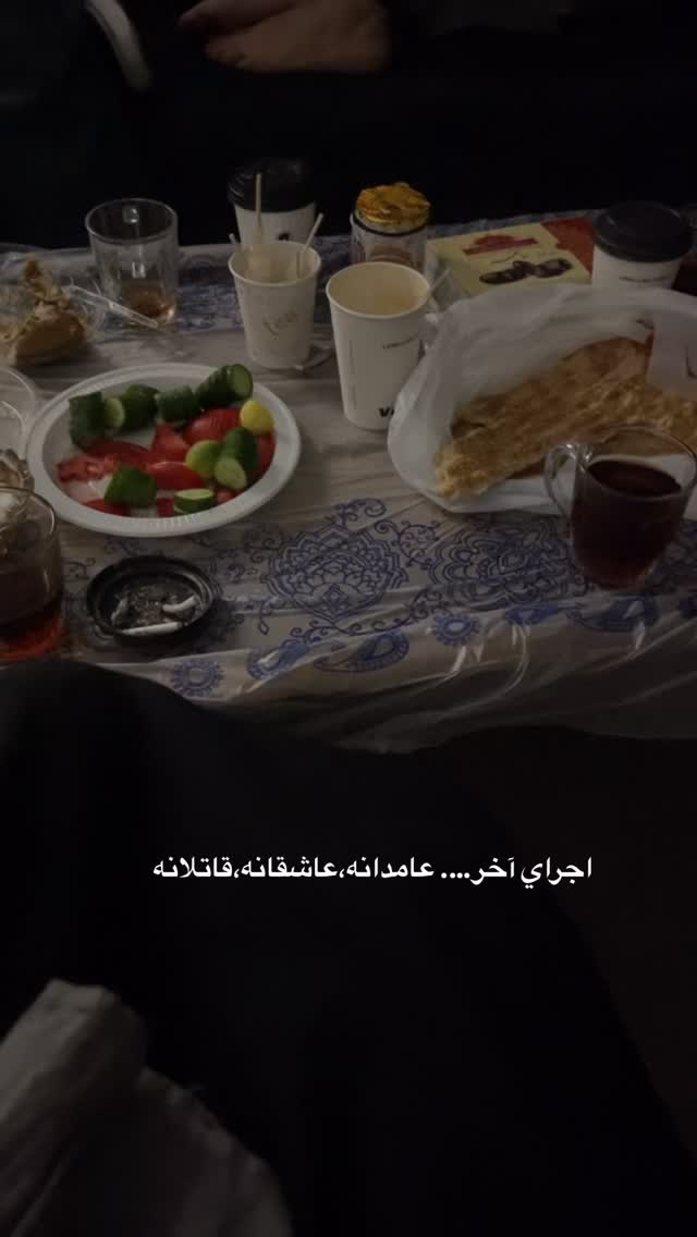  جدید ترین استوری اینستاگرام رویا میر علمی