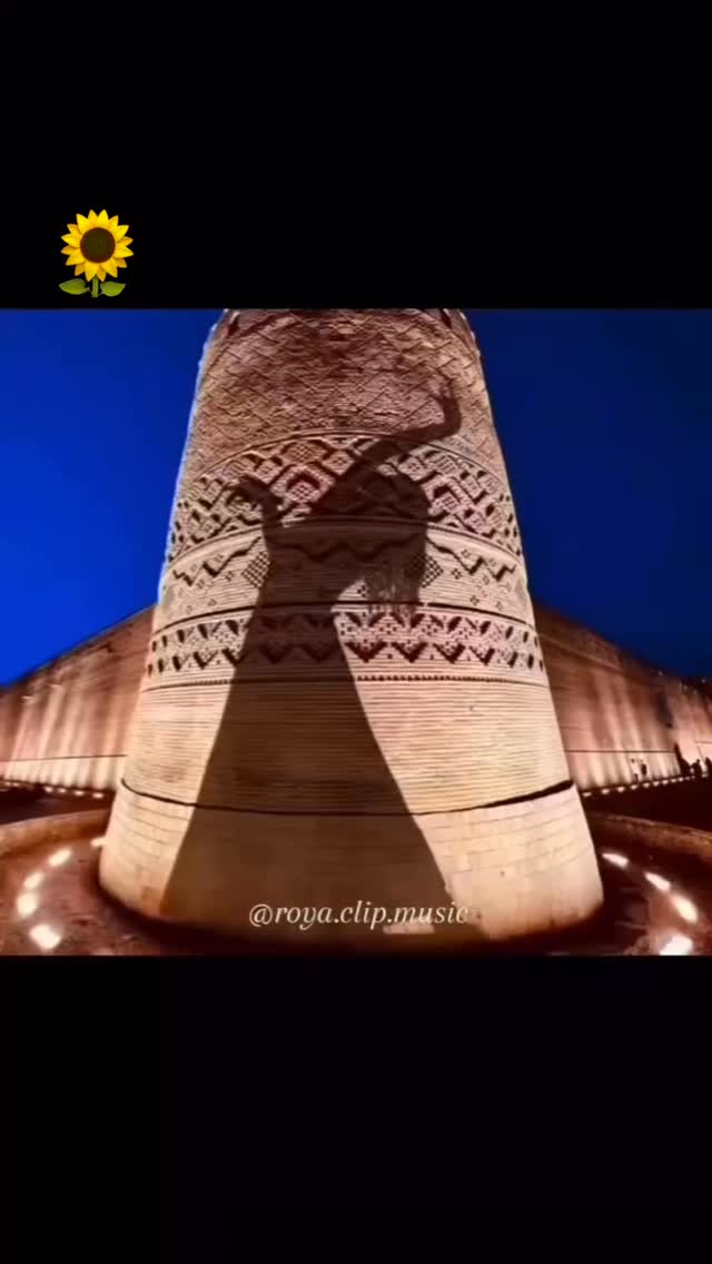  جدید ترین استوری اینستاگرام رویا میر علمی