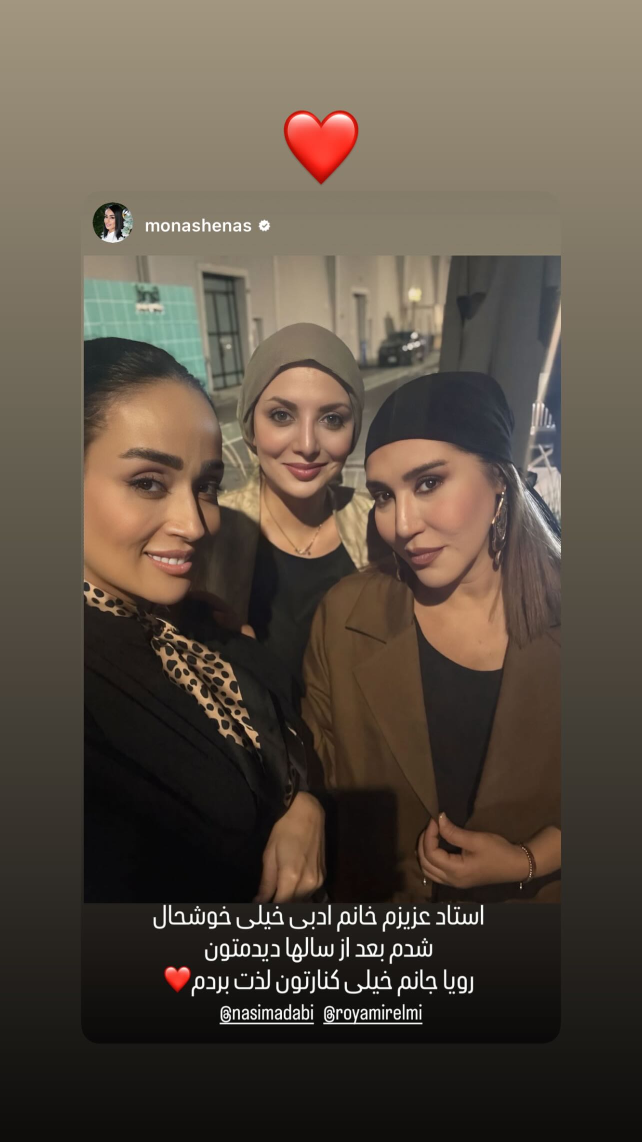 جدید ترین استوری اینستاگرام رویا میر علمی