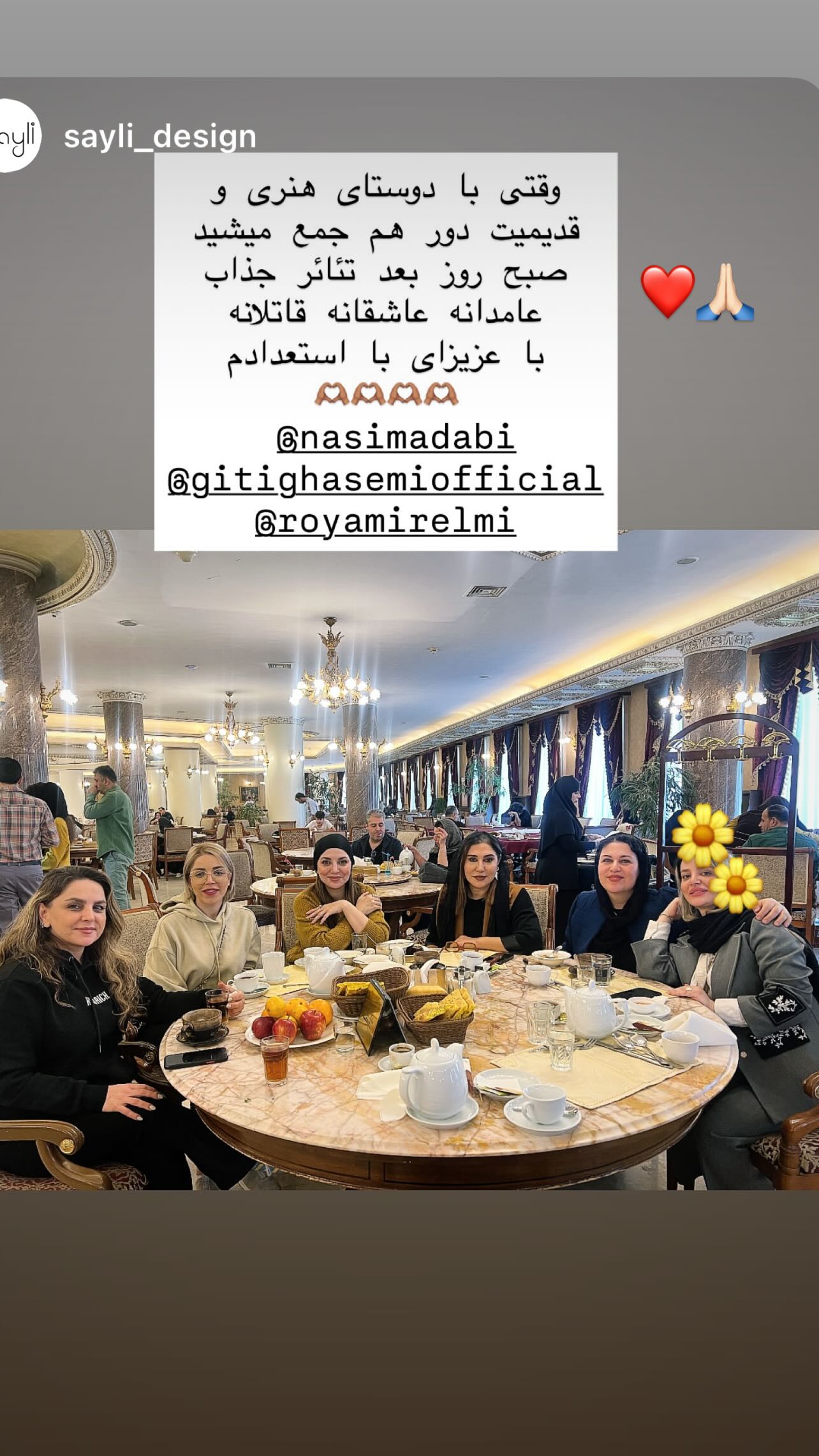  جدید ترین استوری اینستاگرام رویا میر علمی