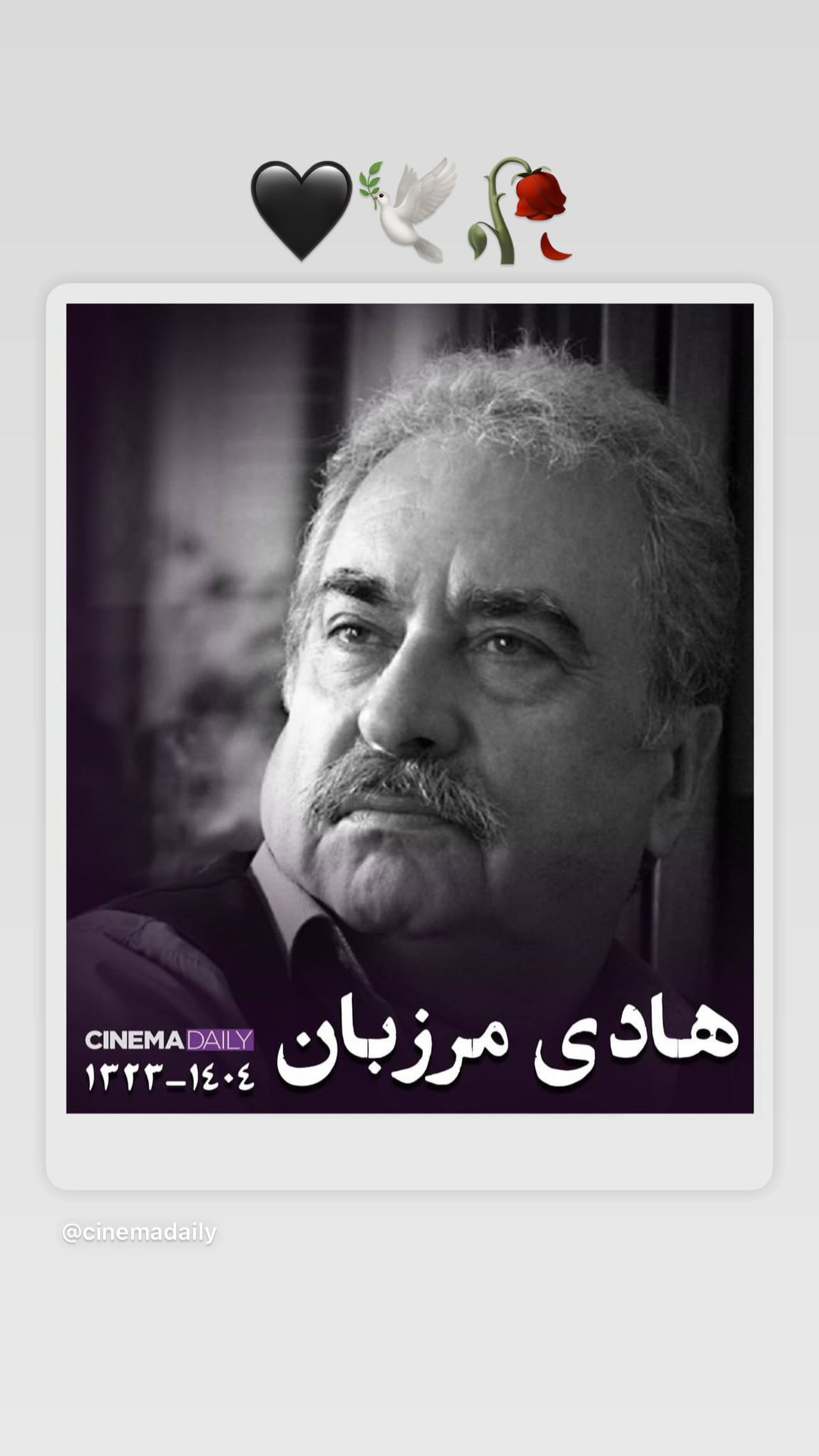  جدید ترین استوری اینستاگرام رویا میر علمی