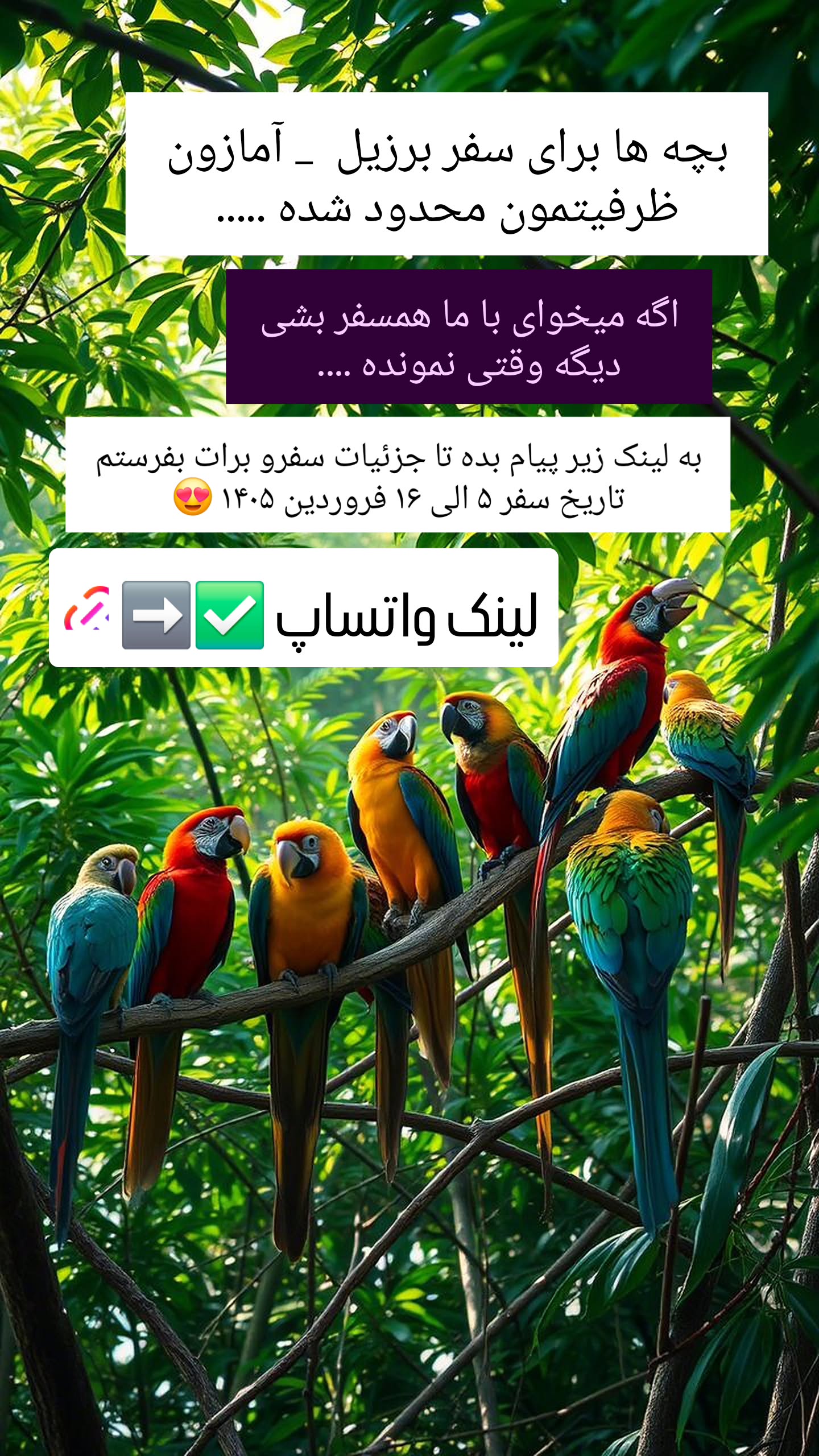  جدید ترین استوری اینستاگرام روزبه